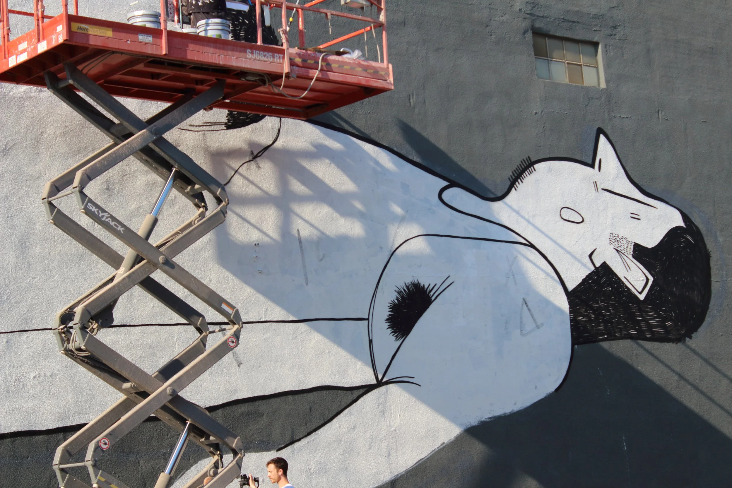  Photo by Chris Allegri 