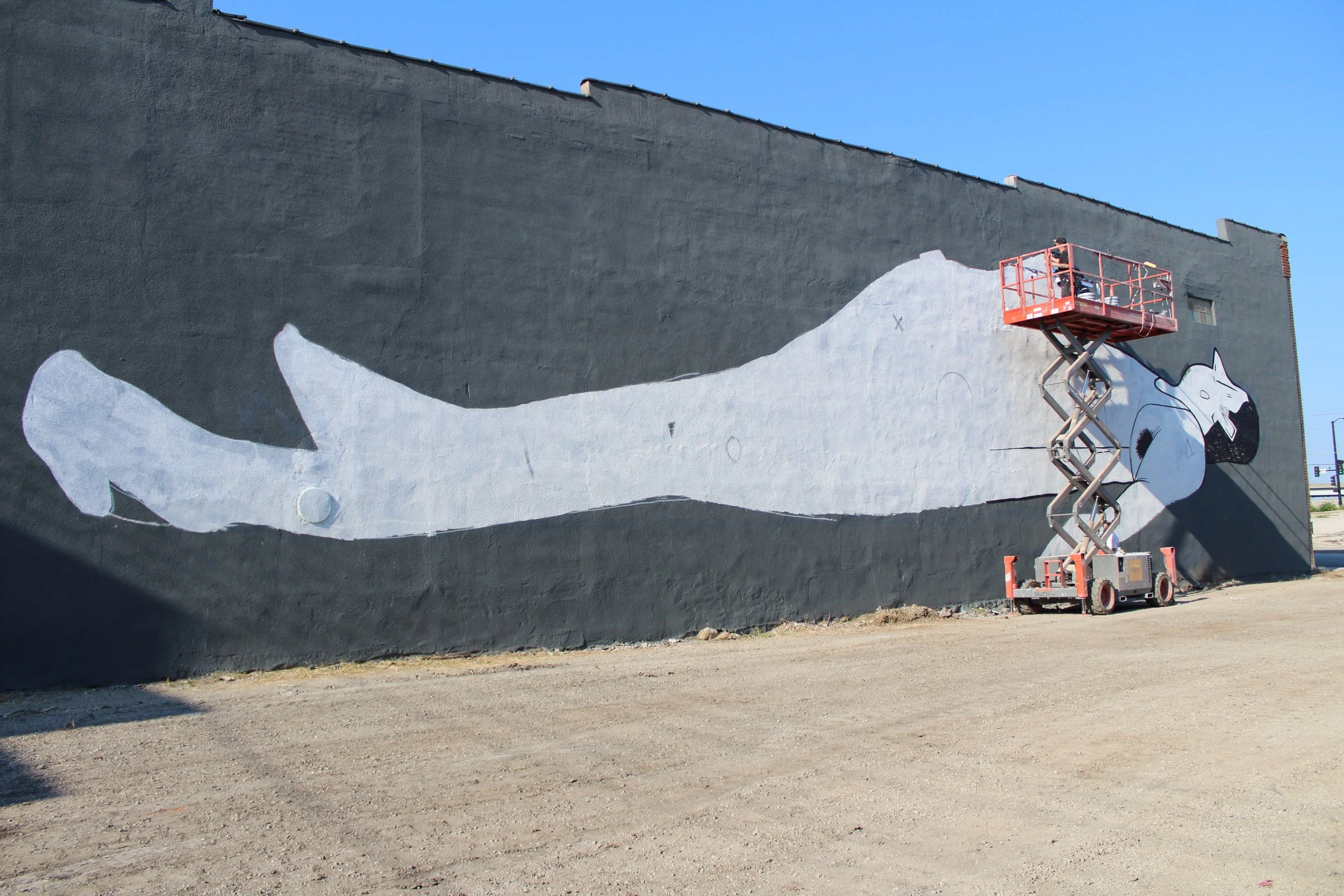  Photo by Chris Allegri 