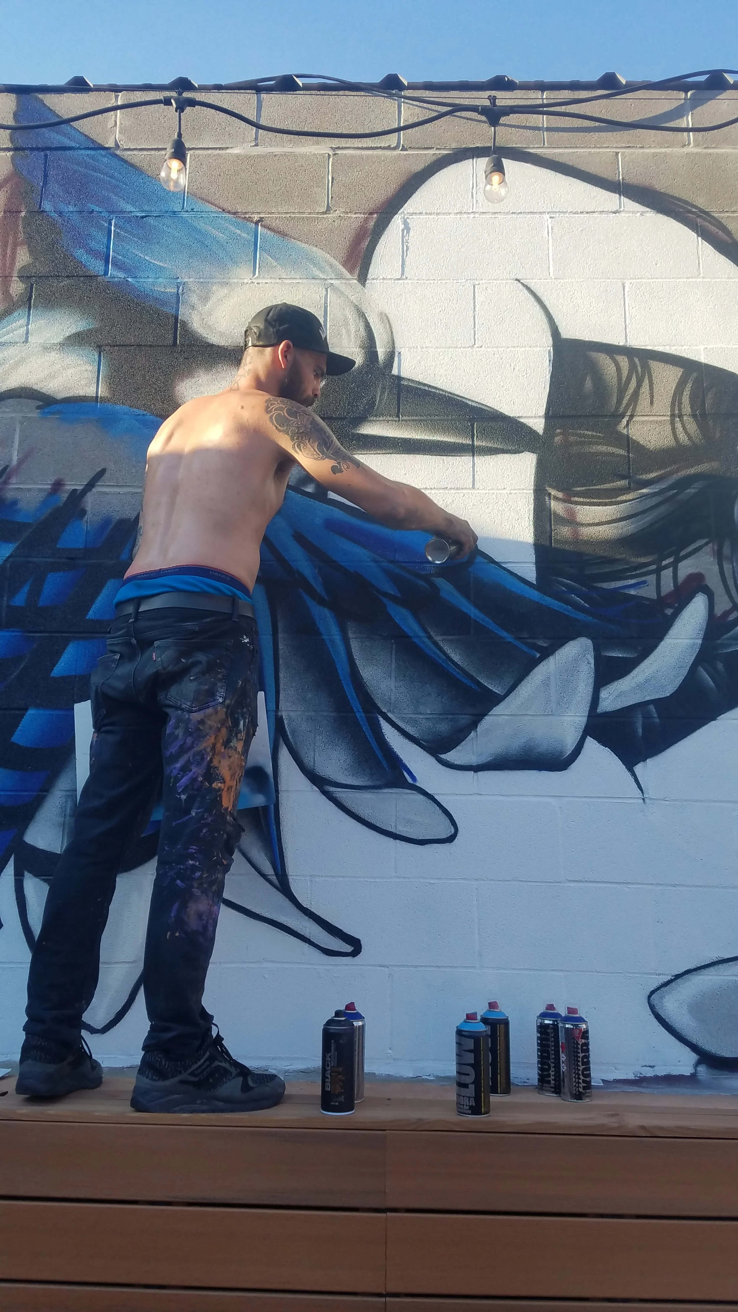 Work in Progress