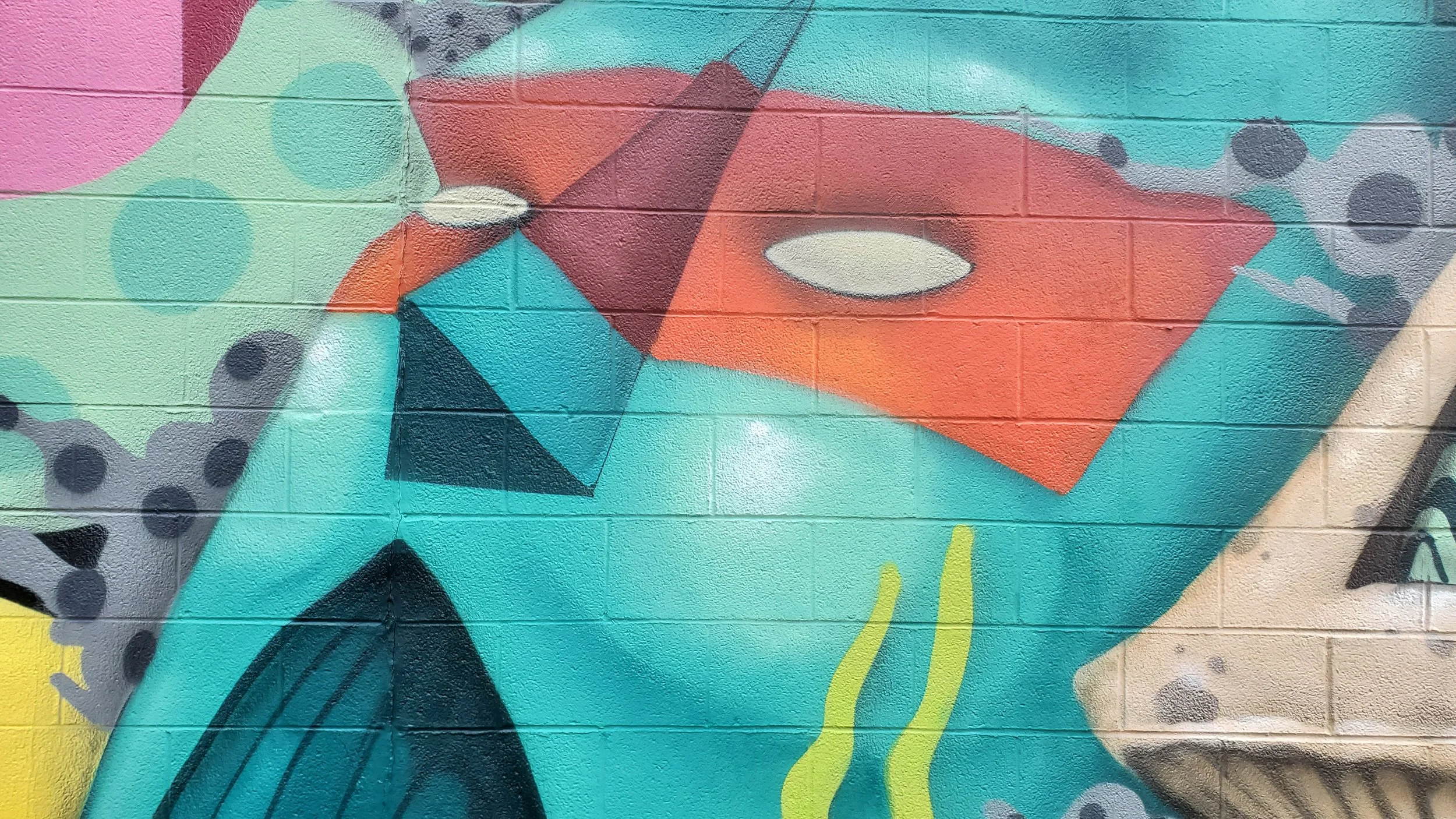 20190908_170715.jpg