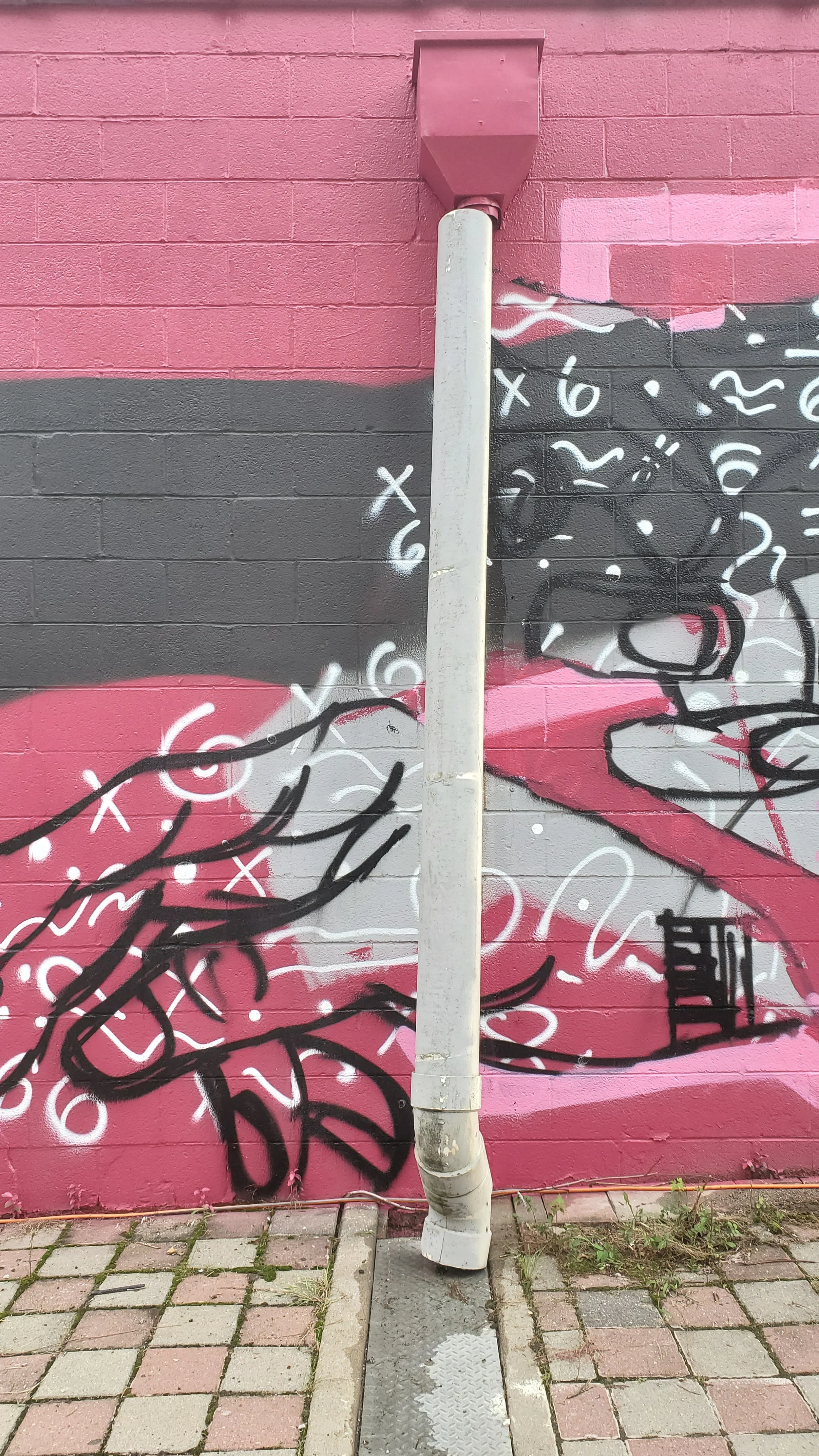 20190908_170736.jpg
