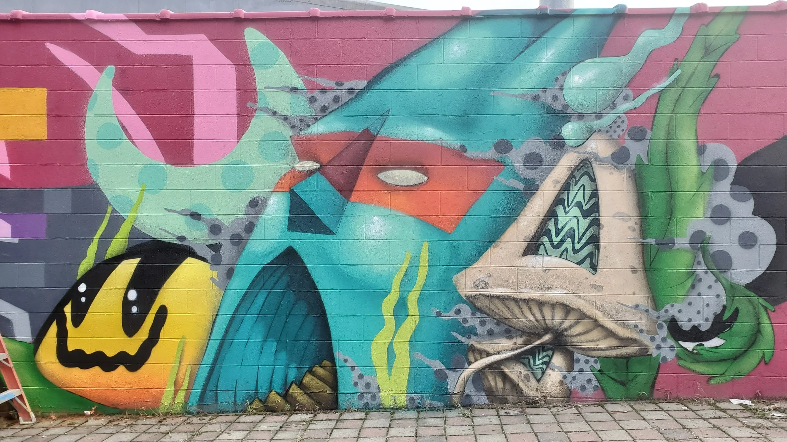 20190908_171141.jpg