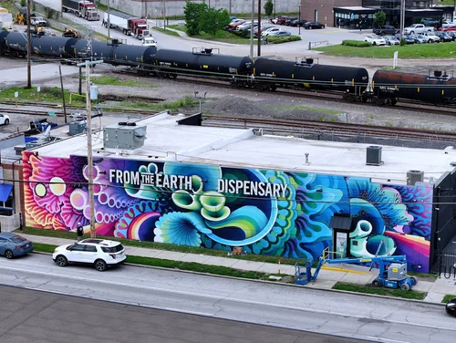 All Artists + Murals — SpraySeeMO