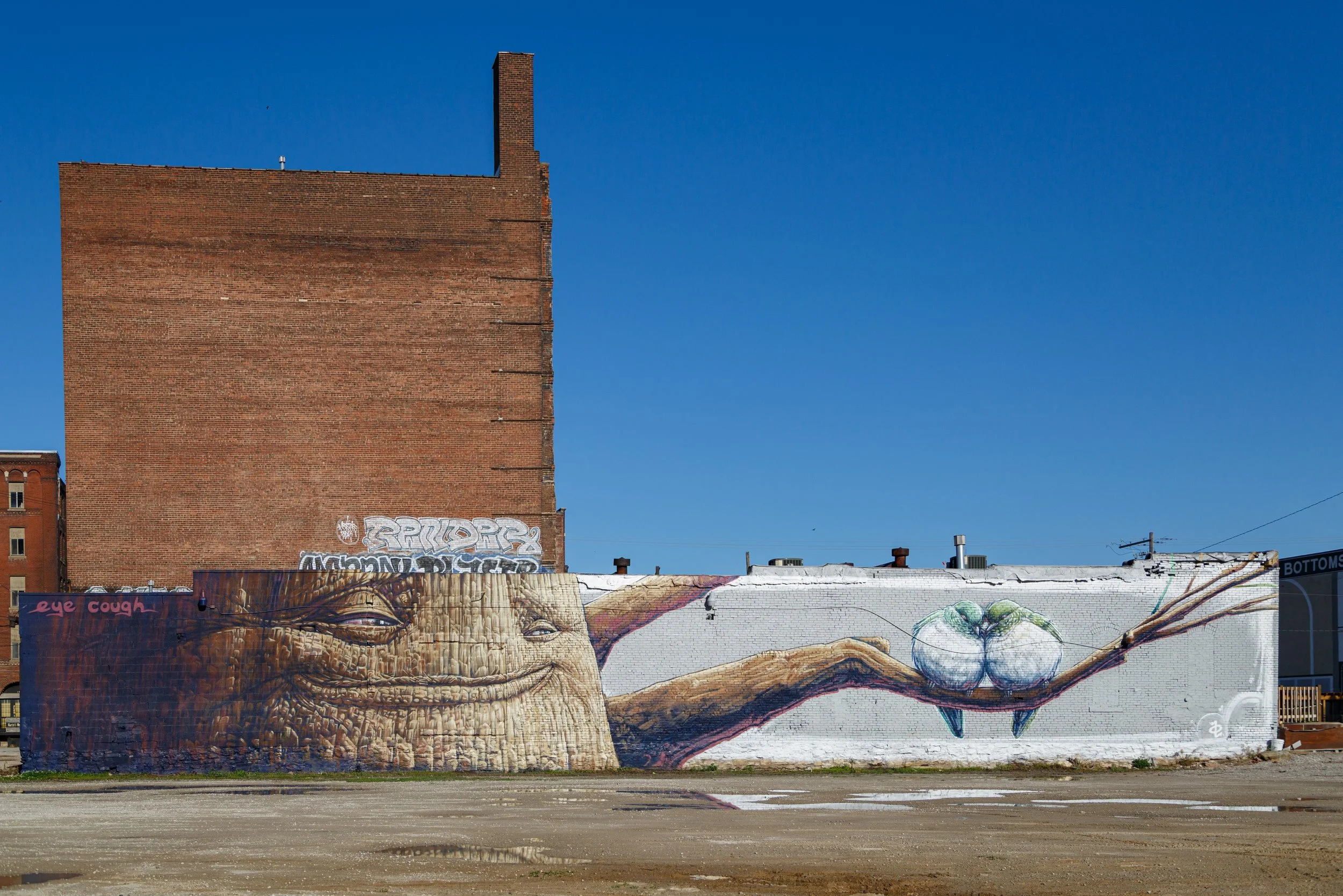 4_Eye Cough_IMGL1938.JPG