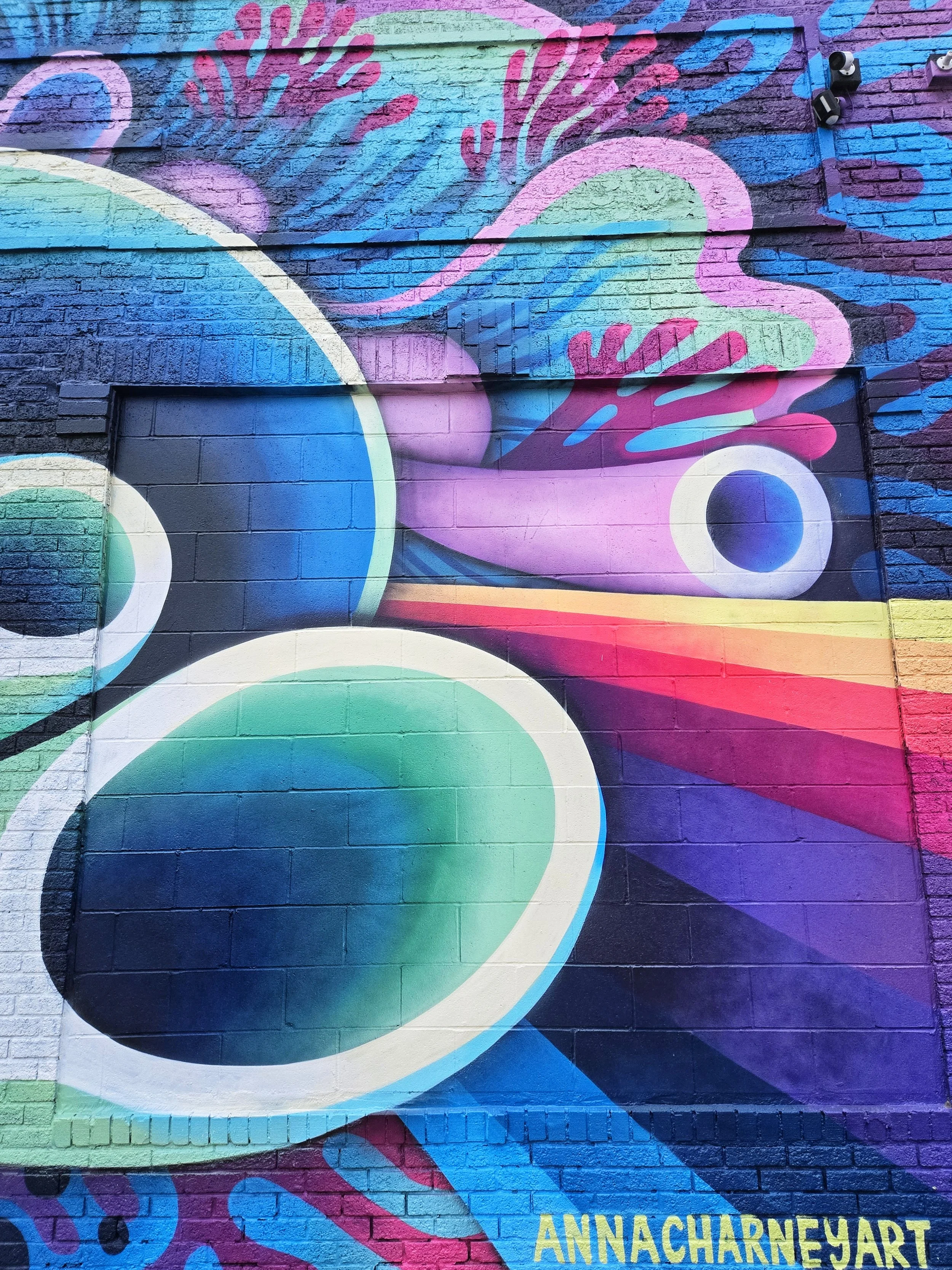 20250528_202019.jpg
