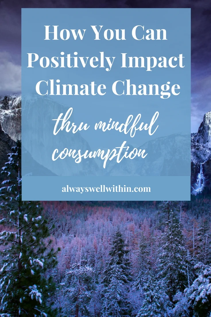 Climate Change | Mindfulness | Mindful Consumption