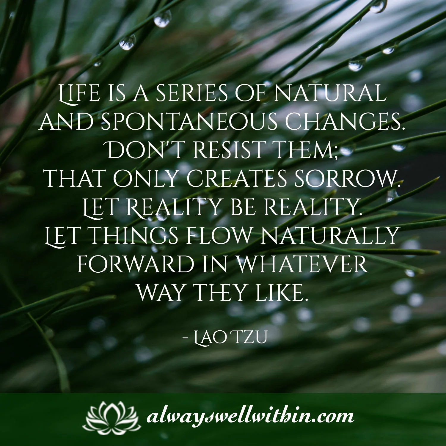 Lao Tsu quote on flowing with change