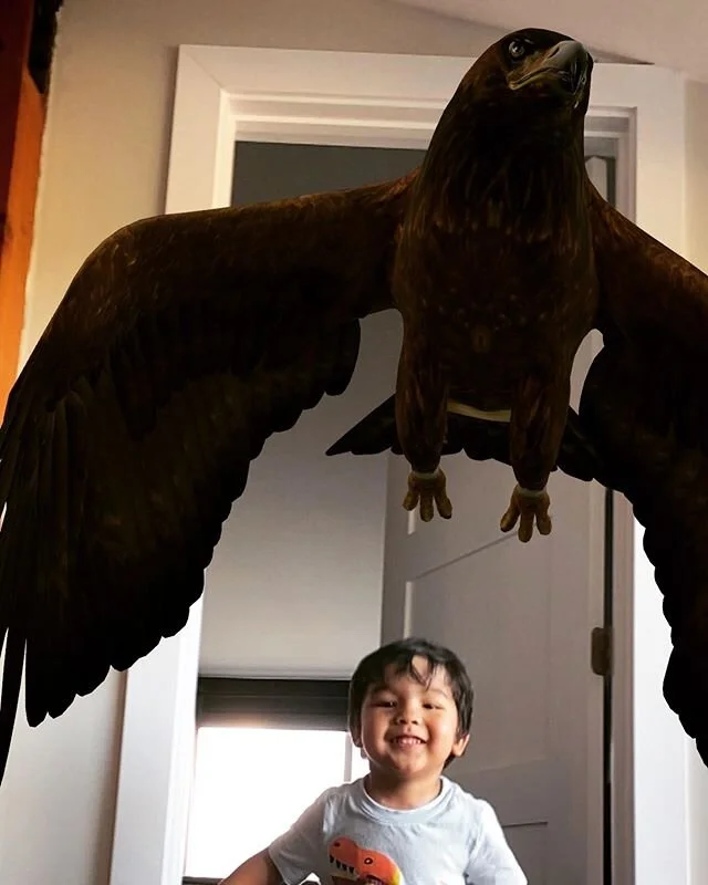 Yesterday we hung out with some AR animals in the house #googleAR