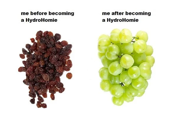 THIS IS YOUR DAILY REMINDER TO HYDRATE