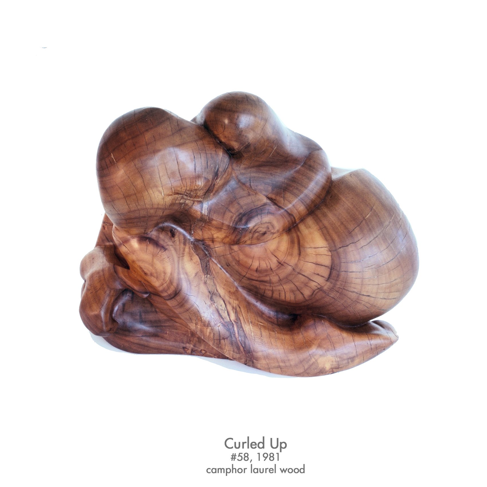 Curled Up, 1981, camphor laurel, #58