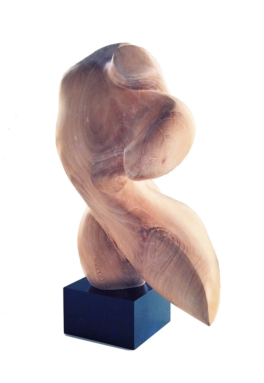 Dancing Torso #88, 1986, sycamore wood