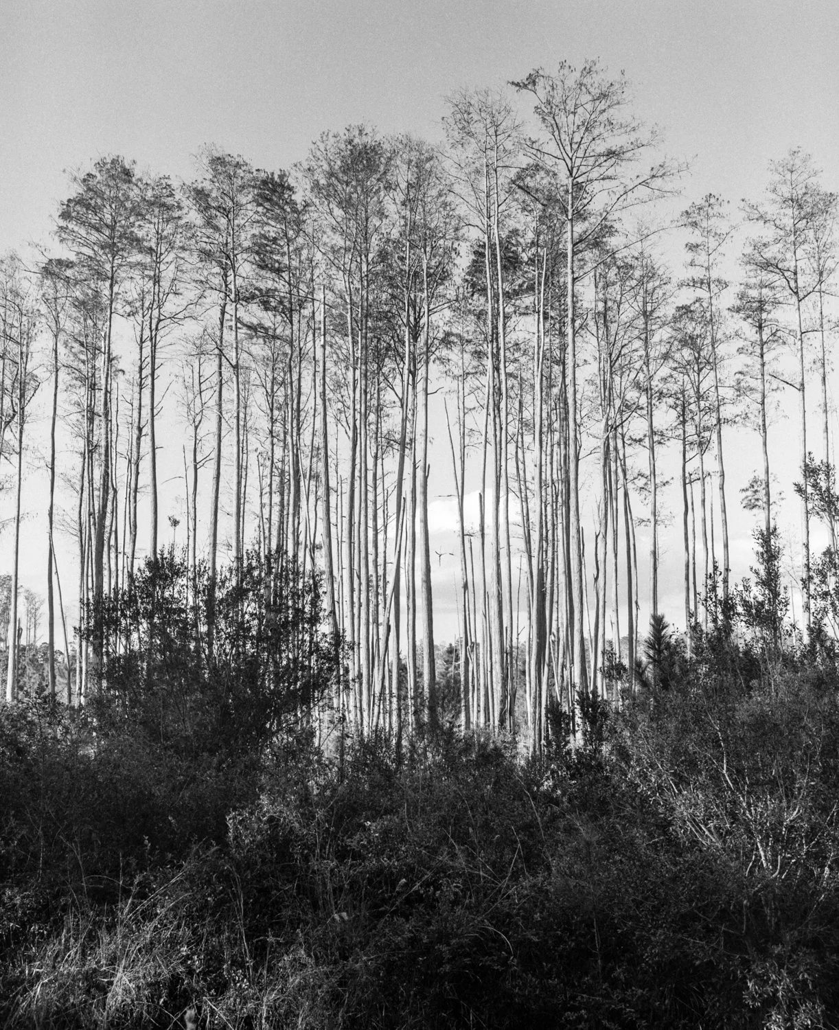 img20201201_18532295-Edit.jpg