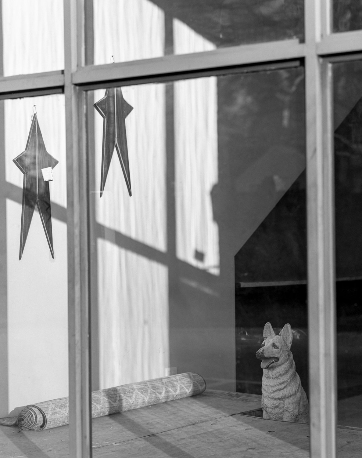 img20201226_06293150-Edit.jpg
