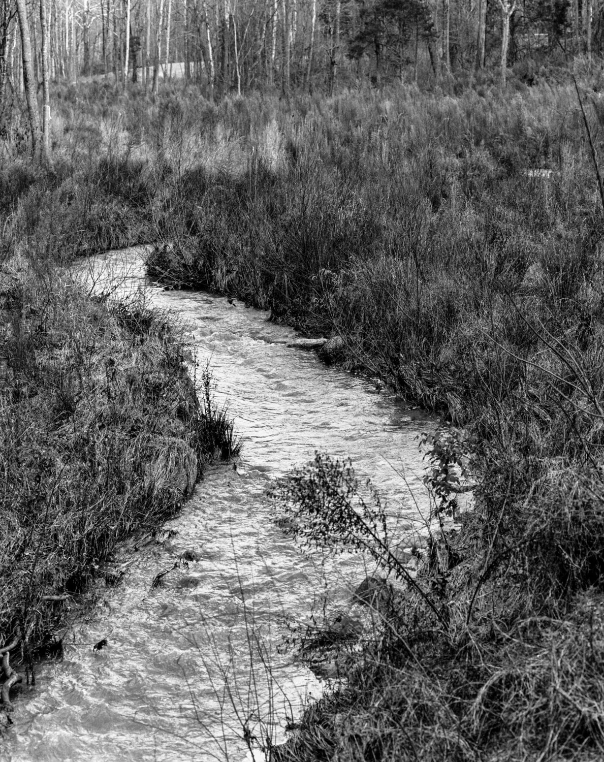img20201226_06394648-Edit.jpg