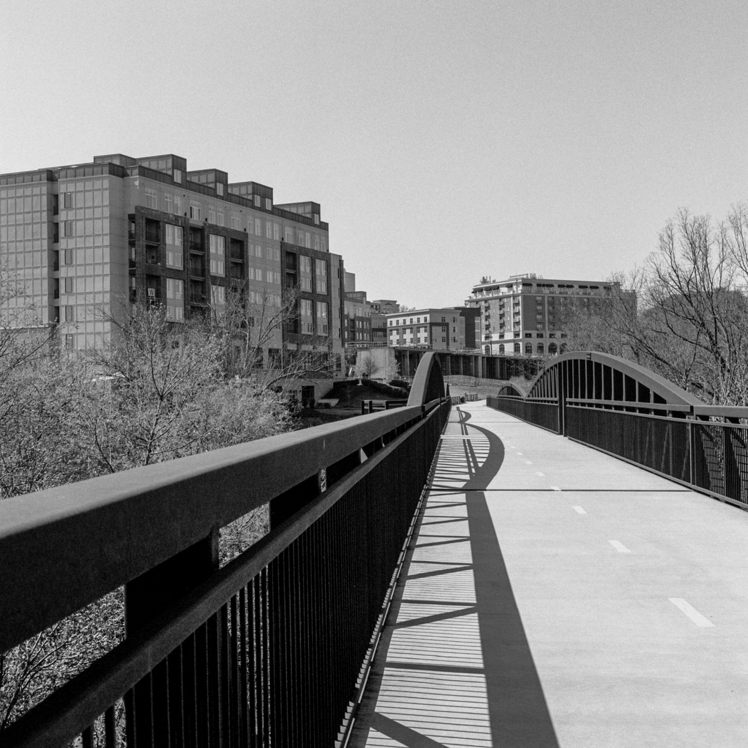 img20210409_19280367-Edit.jpg