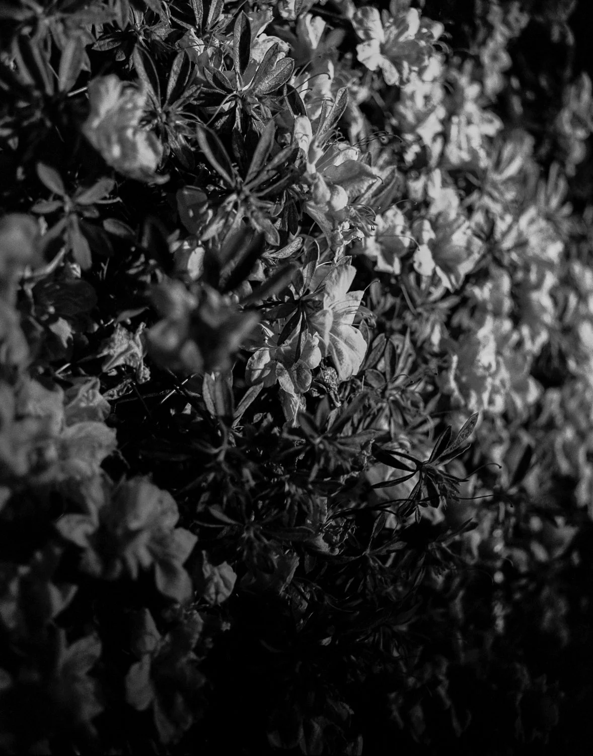 img20210501_20075708-Edit.jpg