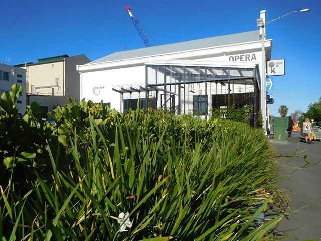Landscape Architecture commercial project undertaken in Hawkes Bay
