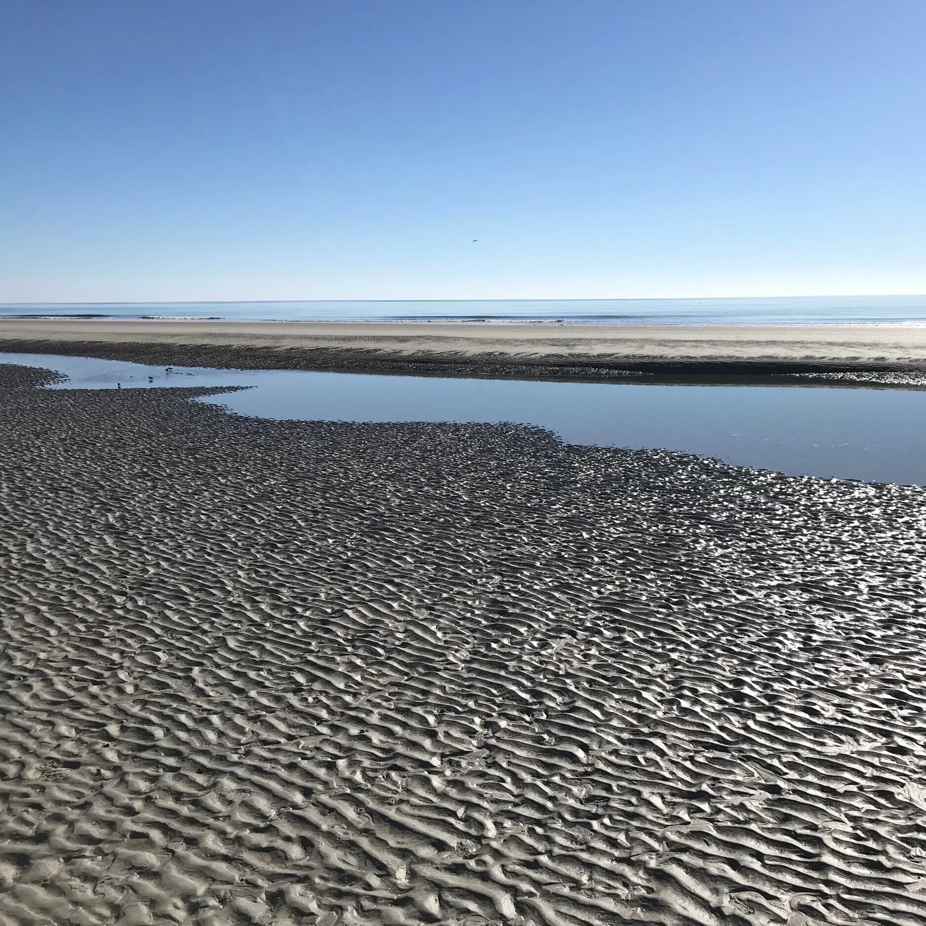 Oceans &amp; Puddles
