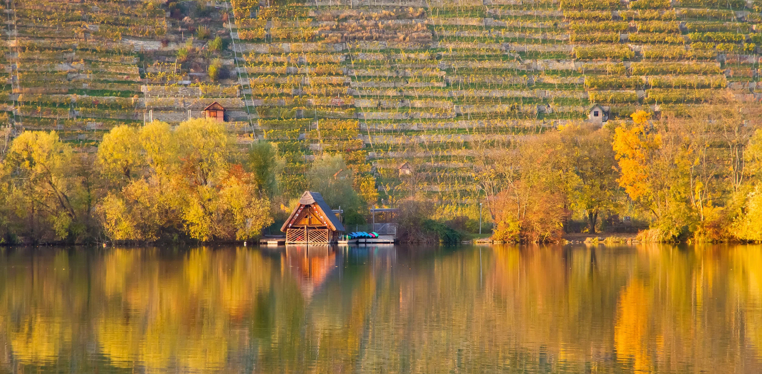 AdobeStock_179414231.jpeg