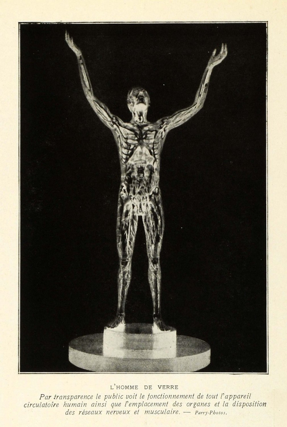 5 The Glass Man.jpg