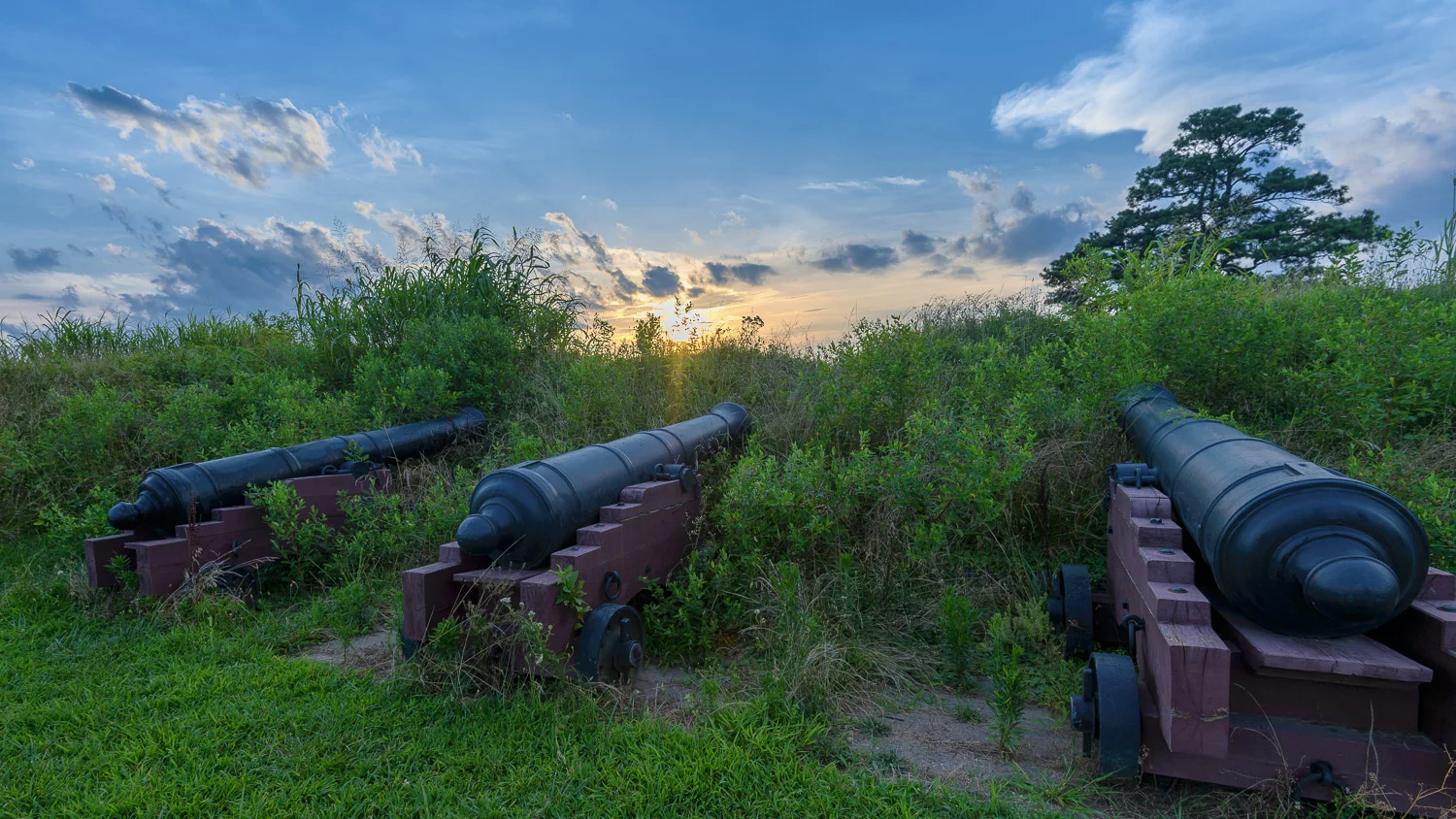 Cannons at Yorktown Battlefield