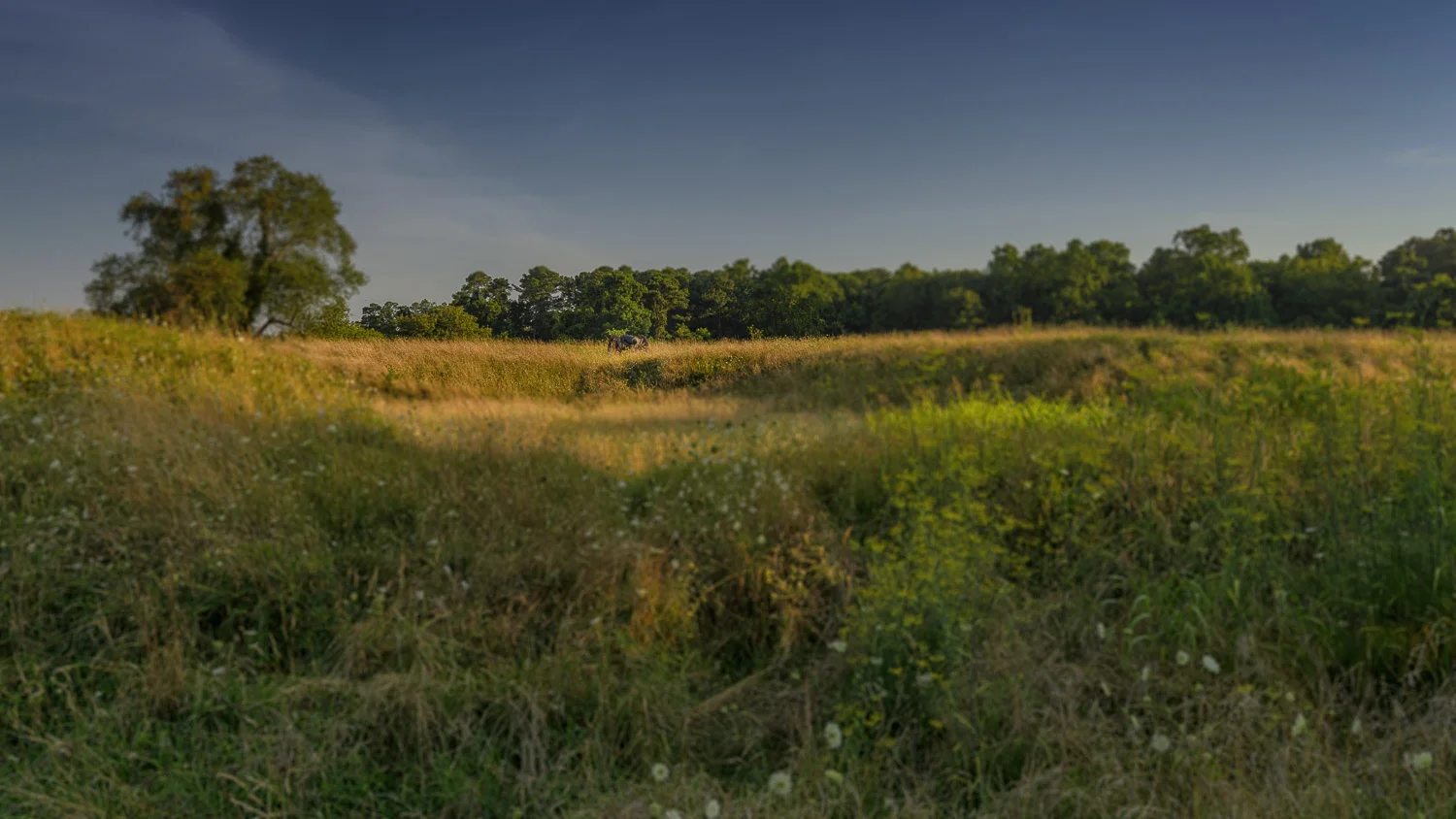 Yorktown Battlefield, Virginia
