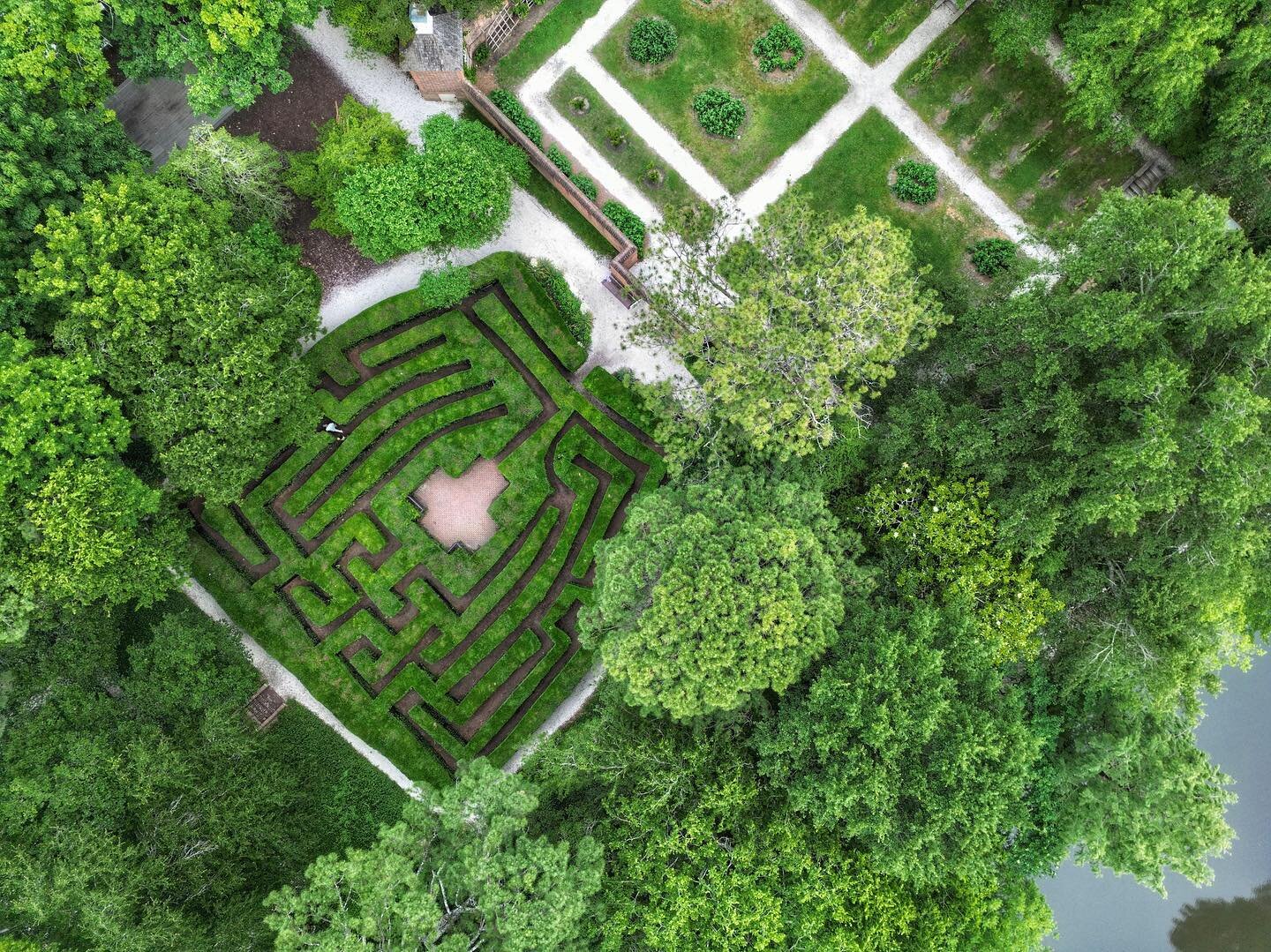 The maze behind the Governors Palace #colonialwilliamsburg #drone #dronephotography