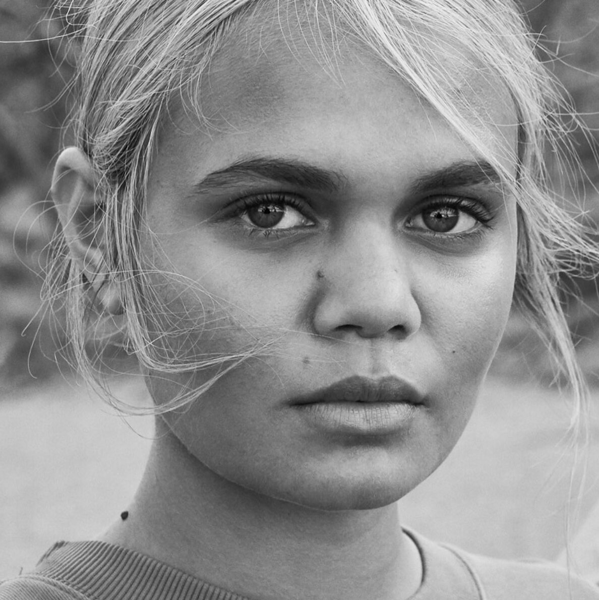 Screen Shot 2019-12-04 at 11.55.07 am copy.jpg