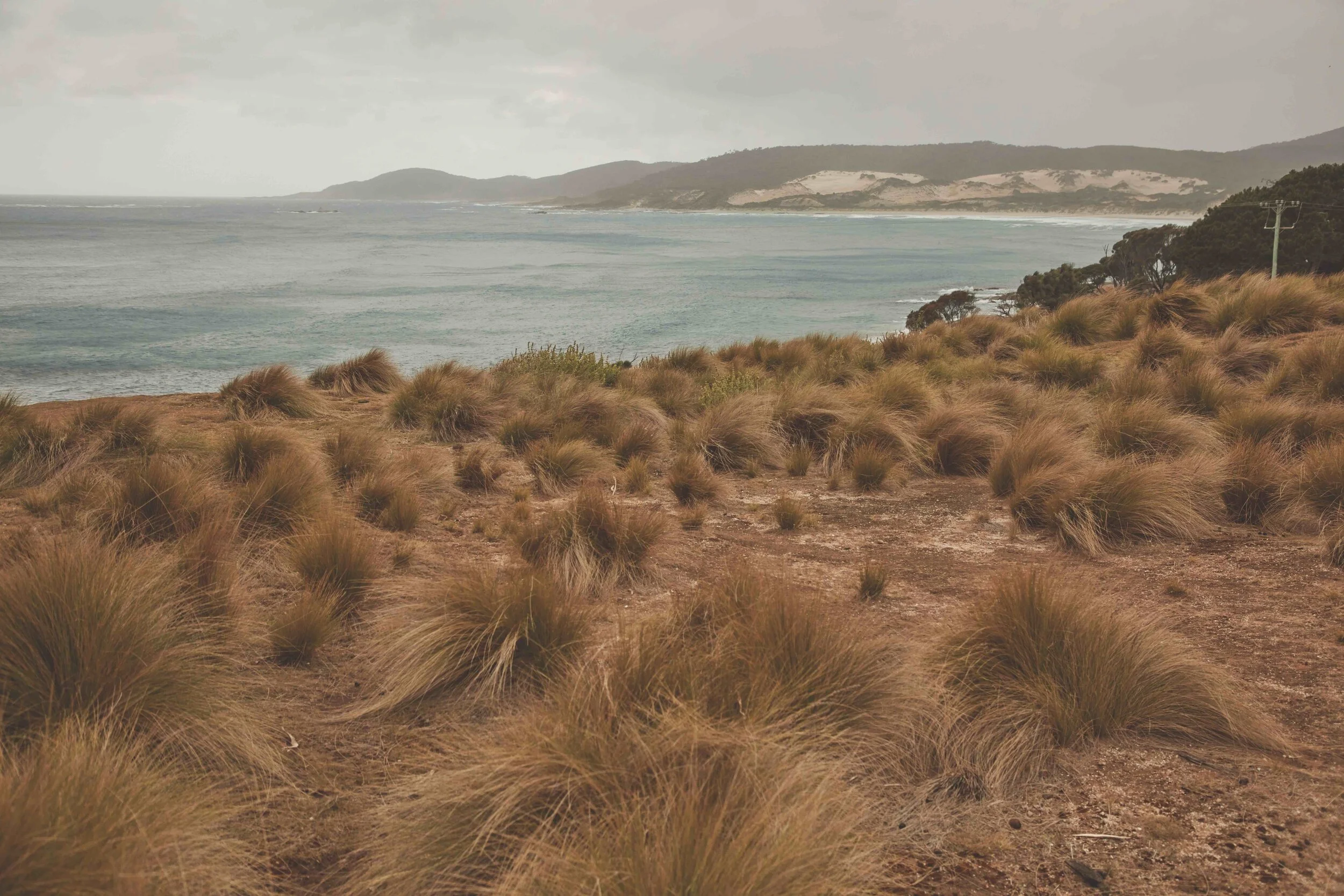 20191204_MJBALE_D1_00_STILLS_CARD_10037 copy.jpg