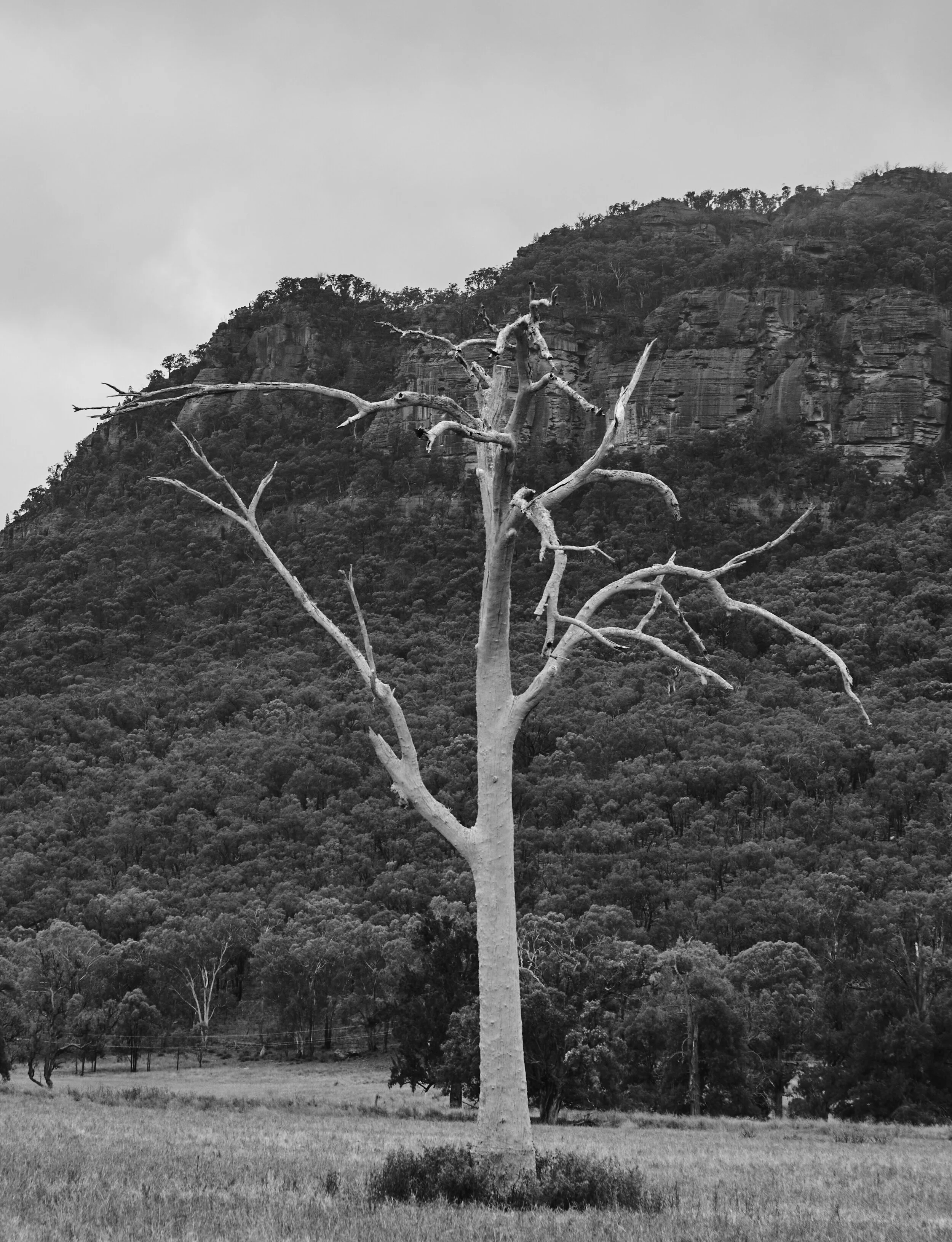 terrifoodstills_Look 1_CARD_0169.jpg