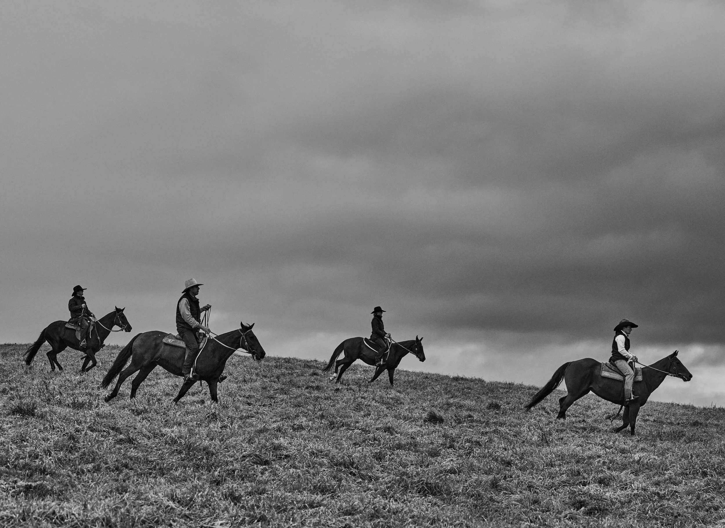 Simon Upton x RB Sellars