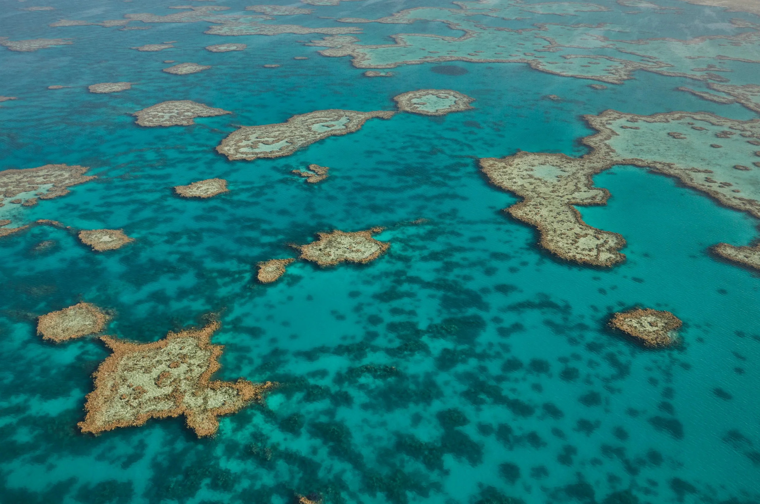 Simon-Upton-Great-Barrier-Reef-01.jpg