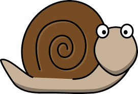 This is a snail that shows the golden ratio on its back. I am calling it Fred.
