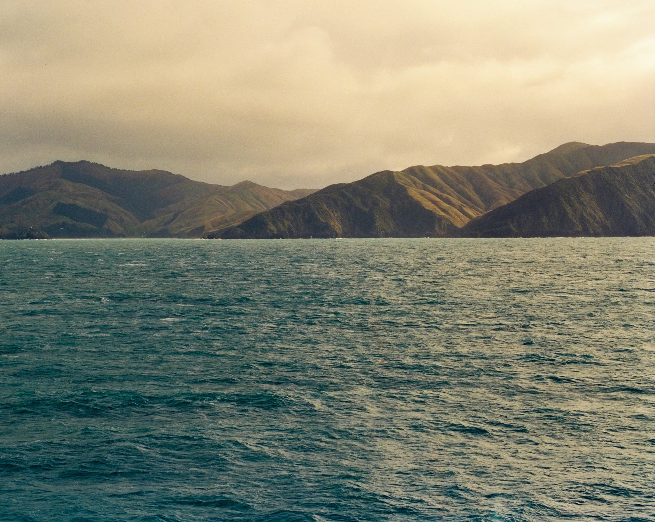 MamiyaRZ67_roll_9_NZ_cinestill800_edited-4.jpg