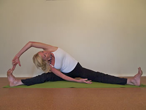 Hatha Yoga Beginners and more experienced students all work together to bring about a state of harmony and well-being to body and mind