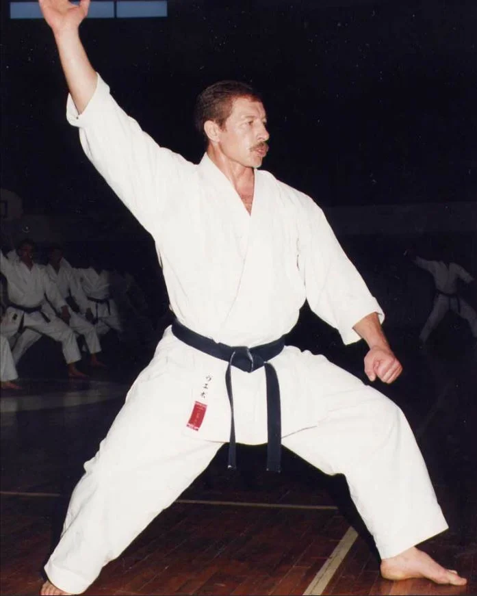 Shuto-Kamae.jpg