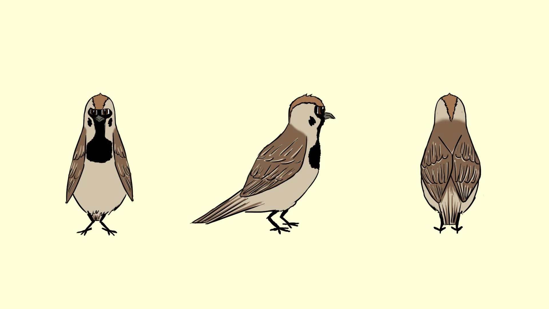 Sparrow Turnaround