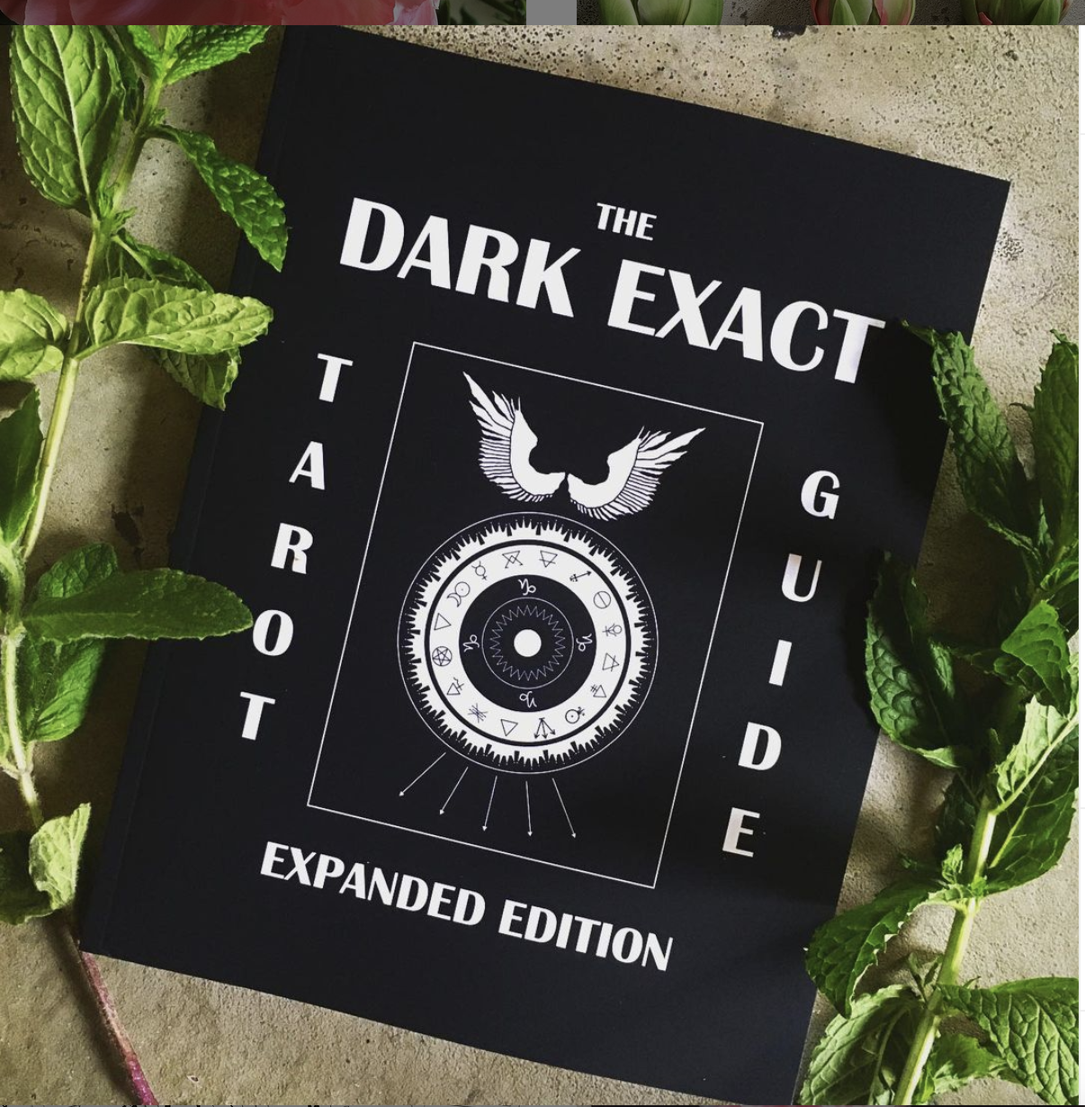 Meg-Wren-Editor-Writer-Content-Portland-Dark-Exact-Wren-Ink.png