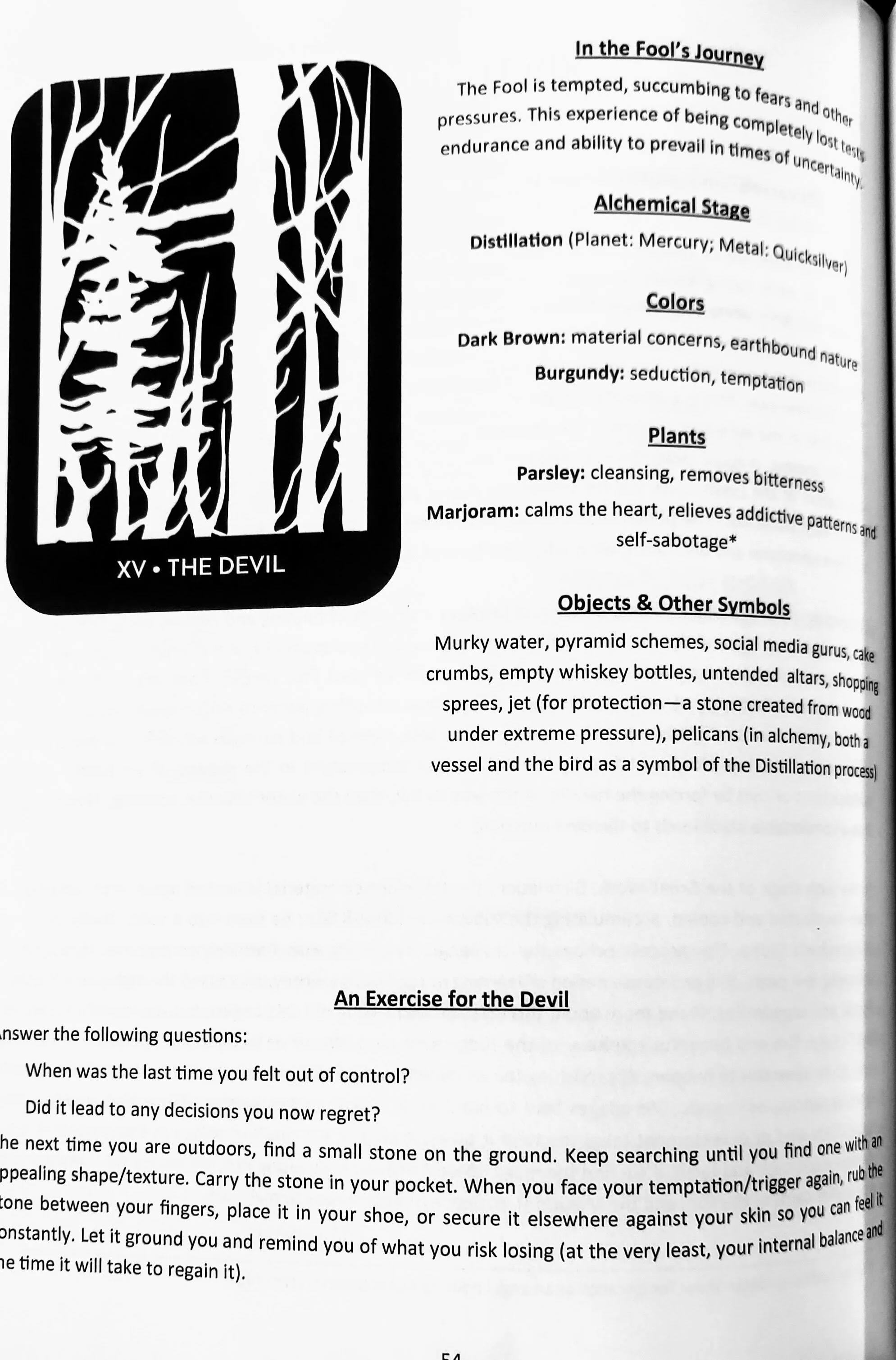 Wren-Ink-Editor-Writer-Content-Portland-Dark-Exact-Devil-Card-Detail-Intro.jpg