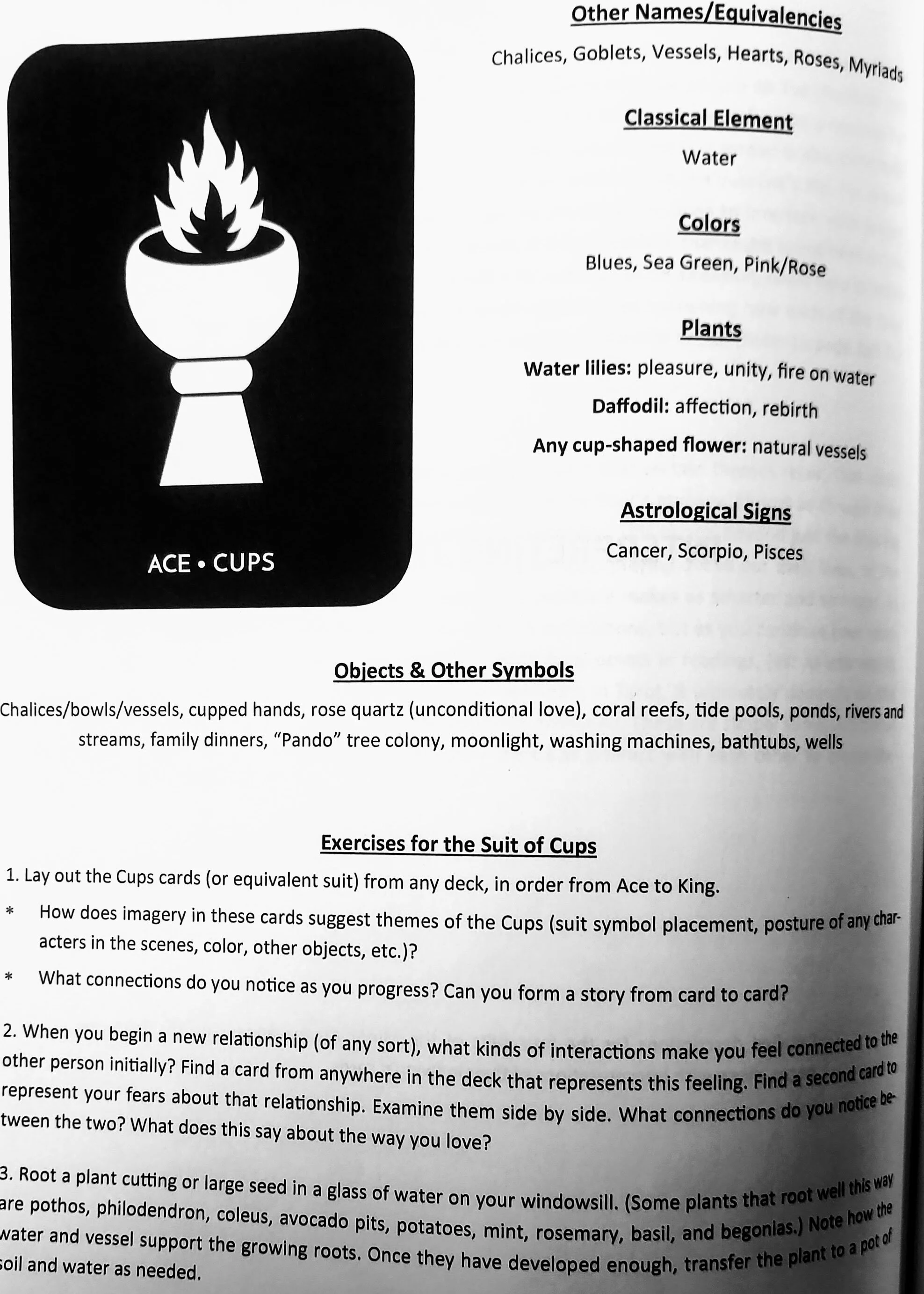 Wren-Ink-Editor-Writer-Content-Portland-Dark-Exact-Cups-Detail-Intro.jpg