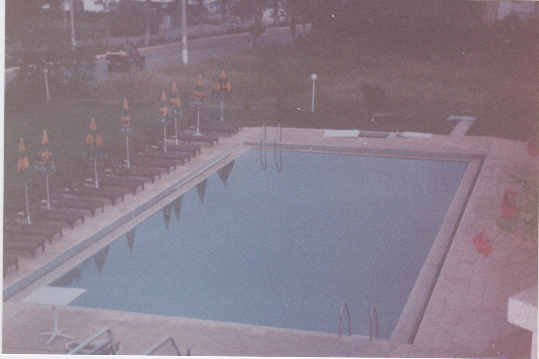 Scan 1.jpeg