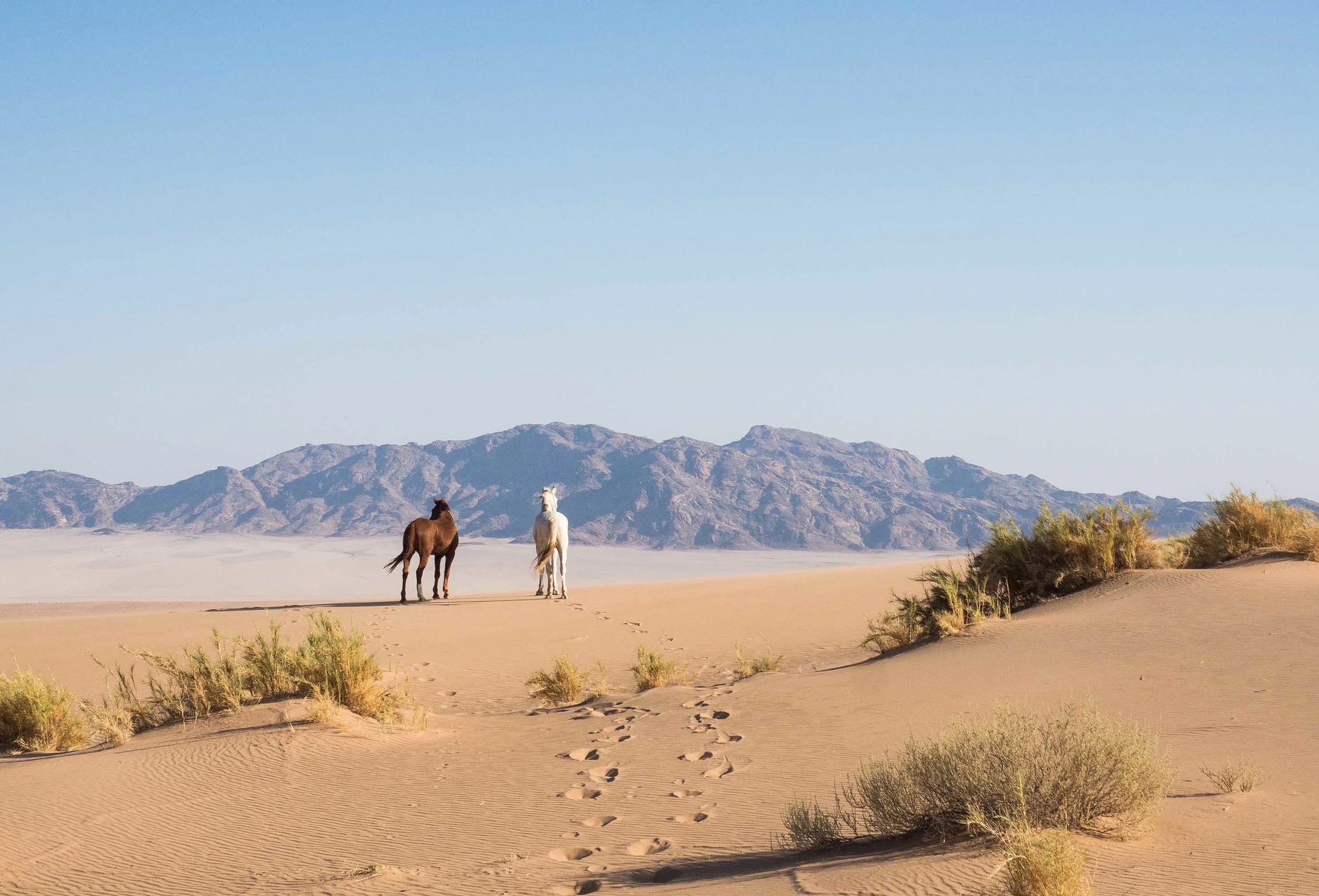 Namibia.