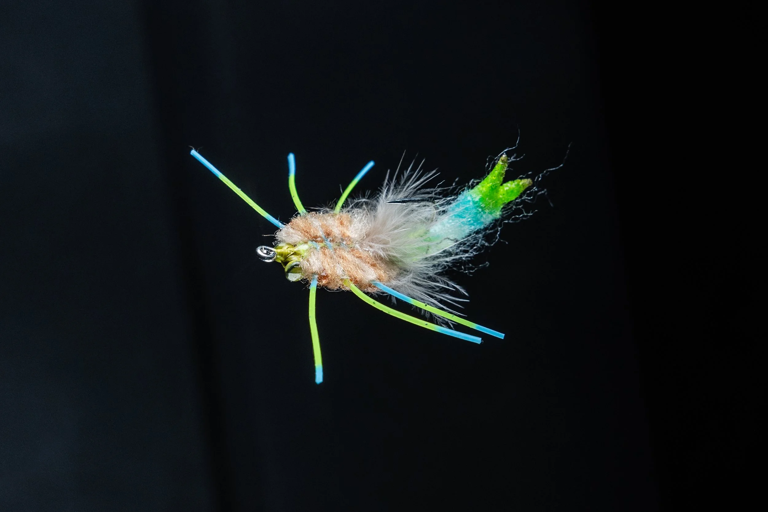 Ricky_Flies_web-2.jpg