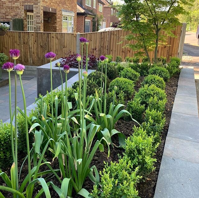 Planting ready for summer ☀️#gardendesign #outsideliving #planting #plantingdesign #photooftheday #landscaping