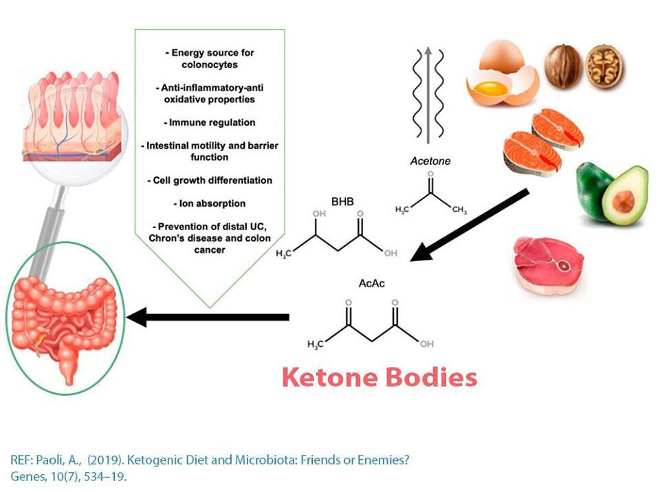 is a keto diet bad for leaky gut