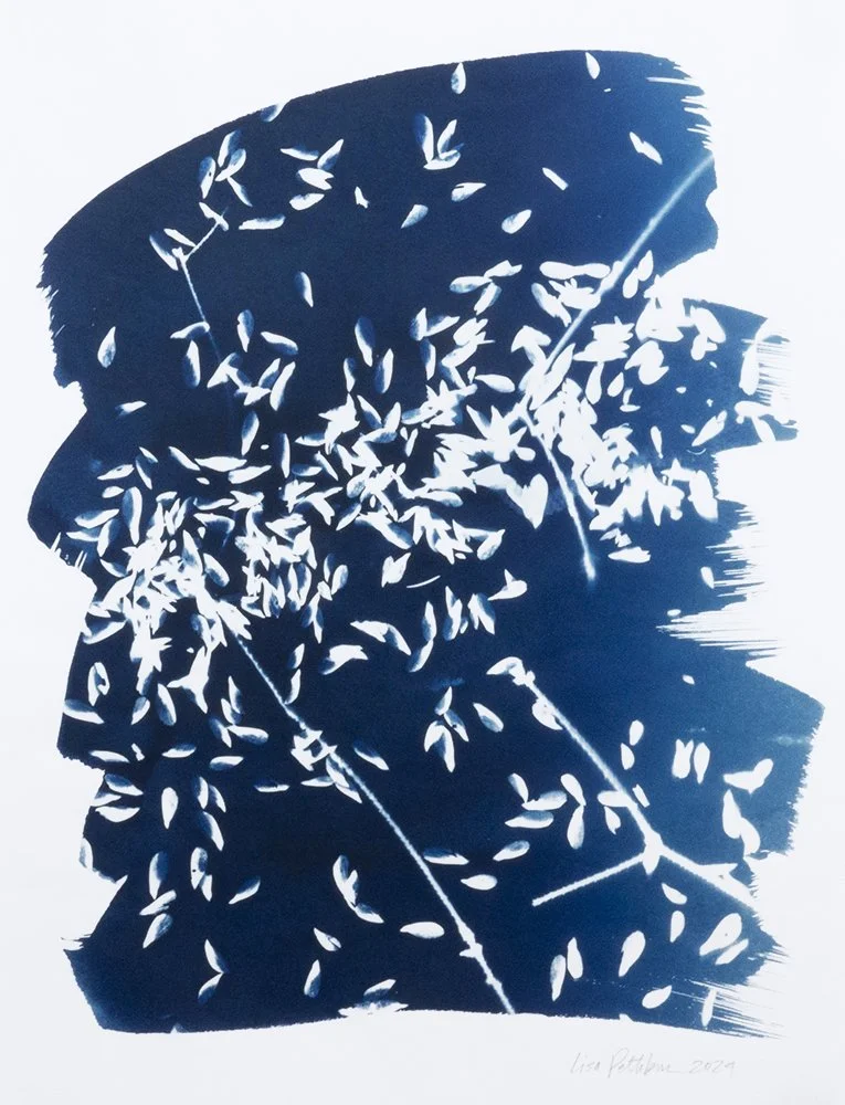 Wandering Seed_5_brA3_Pettibone lo.JPG