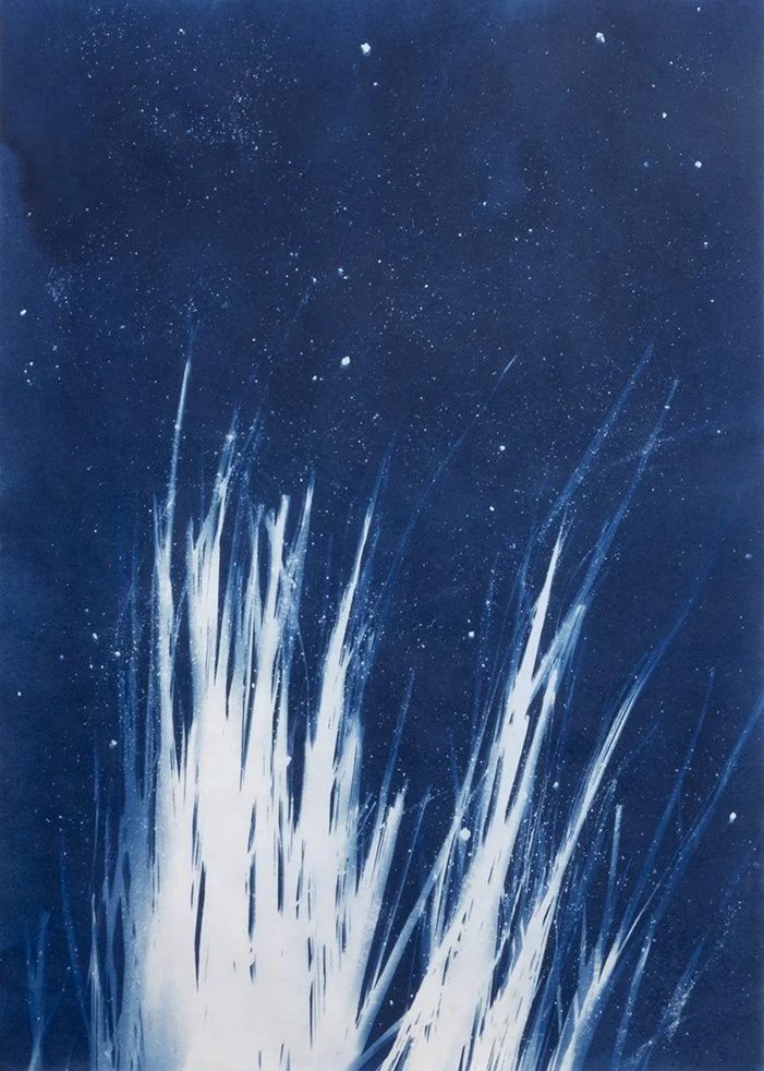 29 Palms_3_A3_Pettibone lo.JPG