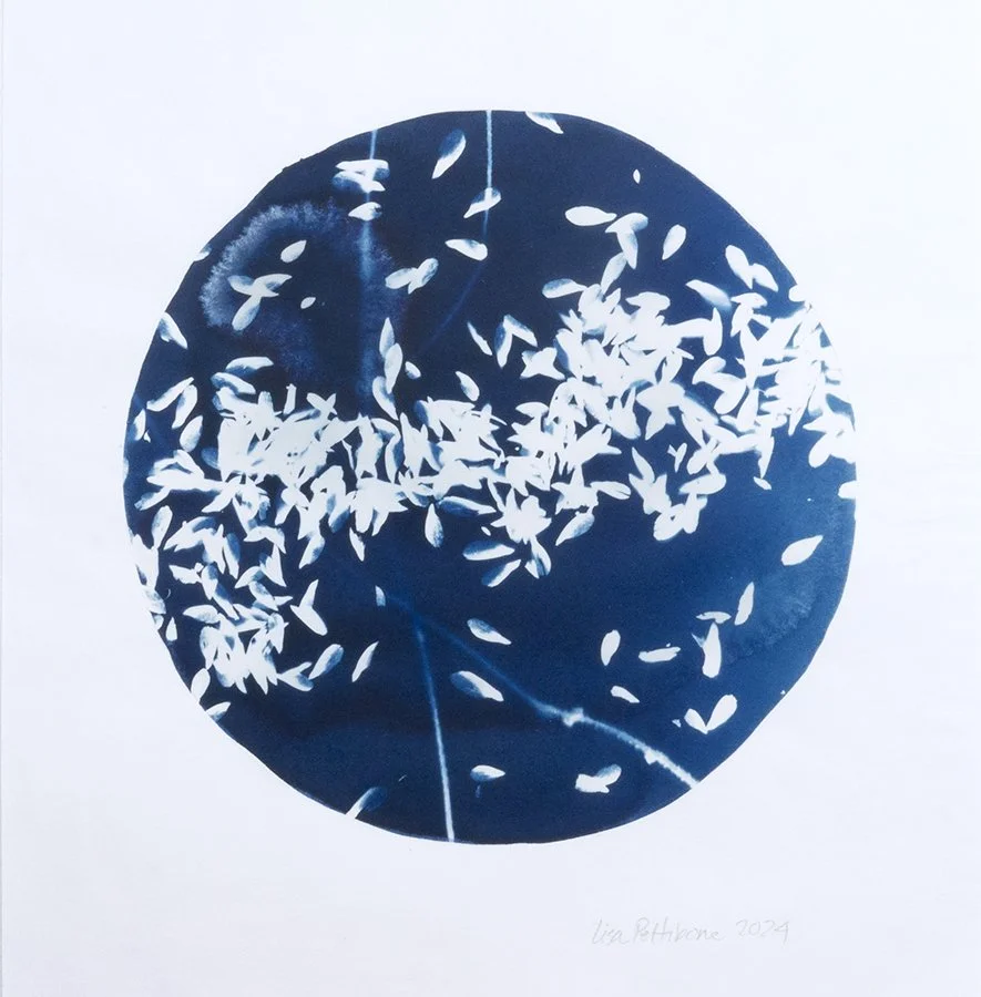 Wandering Seed_2_28x30cm_cartridge_Pettibone_loJPG.JPG