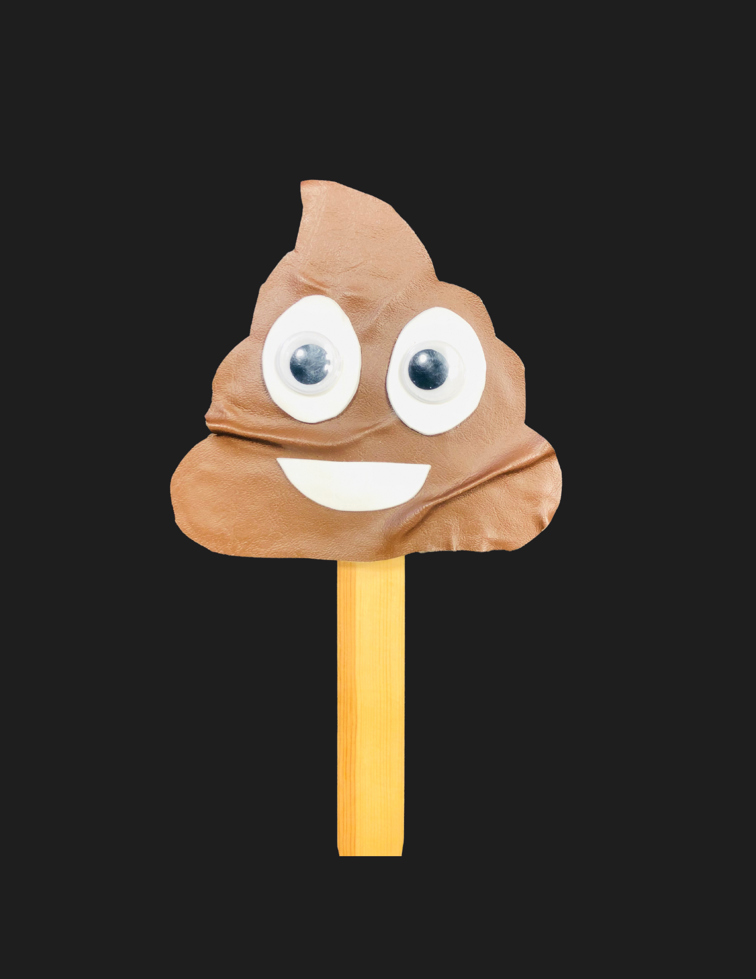 Poop Photo Booth Prop