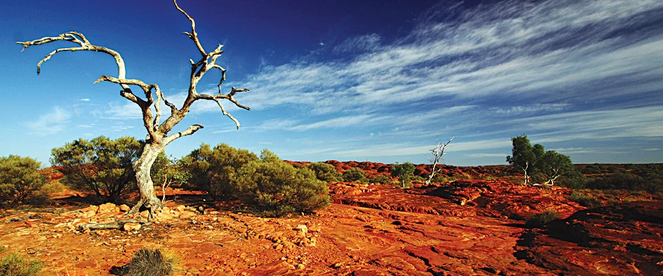 fullsizeaustralia-outbackedge-summer2_11315973138-2.jpg